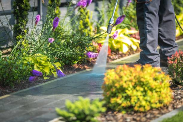 Best Sidewalk and Walkway Cleaning  in Culver City, CA