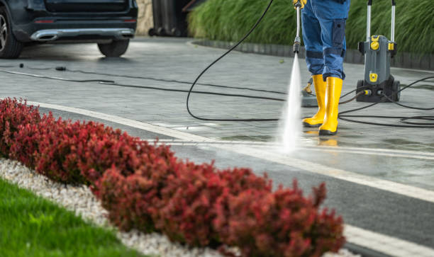 Best Driveway Pressure Washing  in Culver City, CA